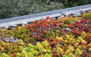 the cost of Braiseworth green roof installation