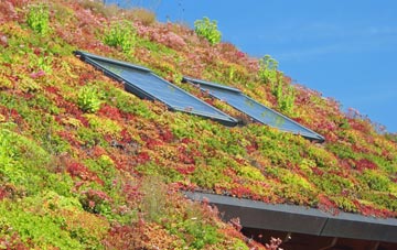 Braiseworth living roof systems