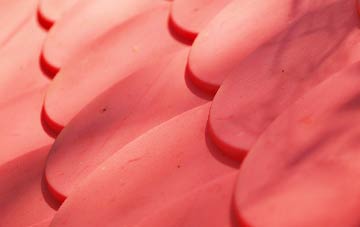 Braiseworth plastic roof costs